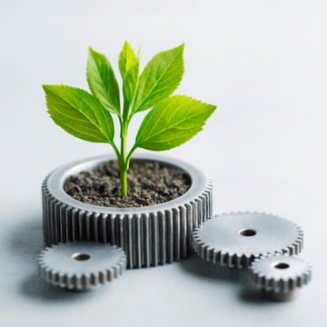 Mindful Care, Healthier Soul