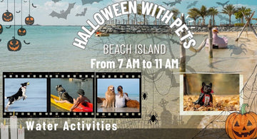 Halloween Party Beach Access