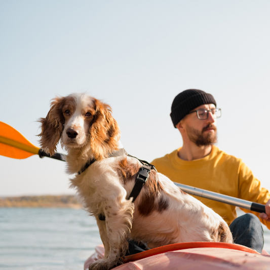 Kayaking with Dogs