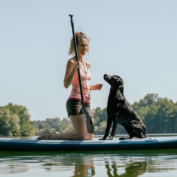 SUP Board Activity with Dogs